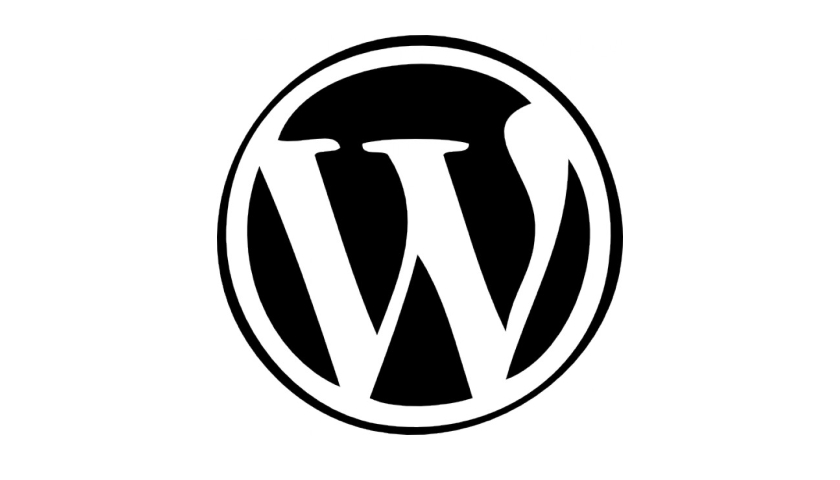 WordPress plugin security